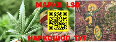 хмурый Сланцы