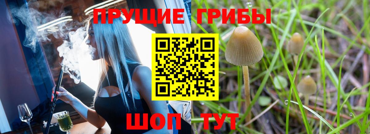 Альфа ПВП Уссурийск