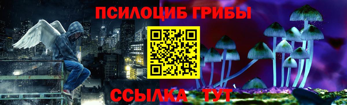 Псилоцибиновые грибы мицелий Уссурийск