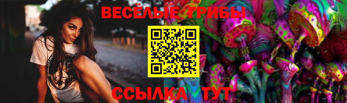 Уссурийск  наркотики  Вход с VPN  Псилоцибиновые грибы прущие грибы 